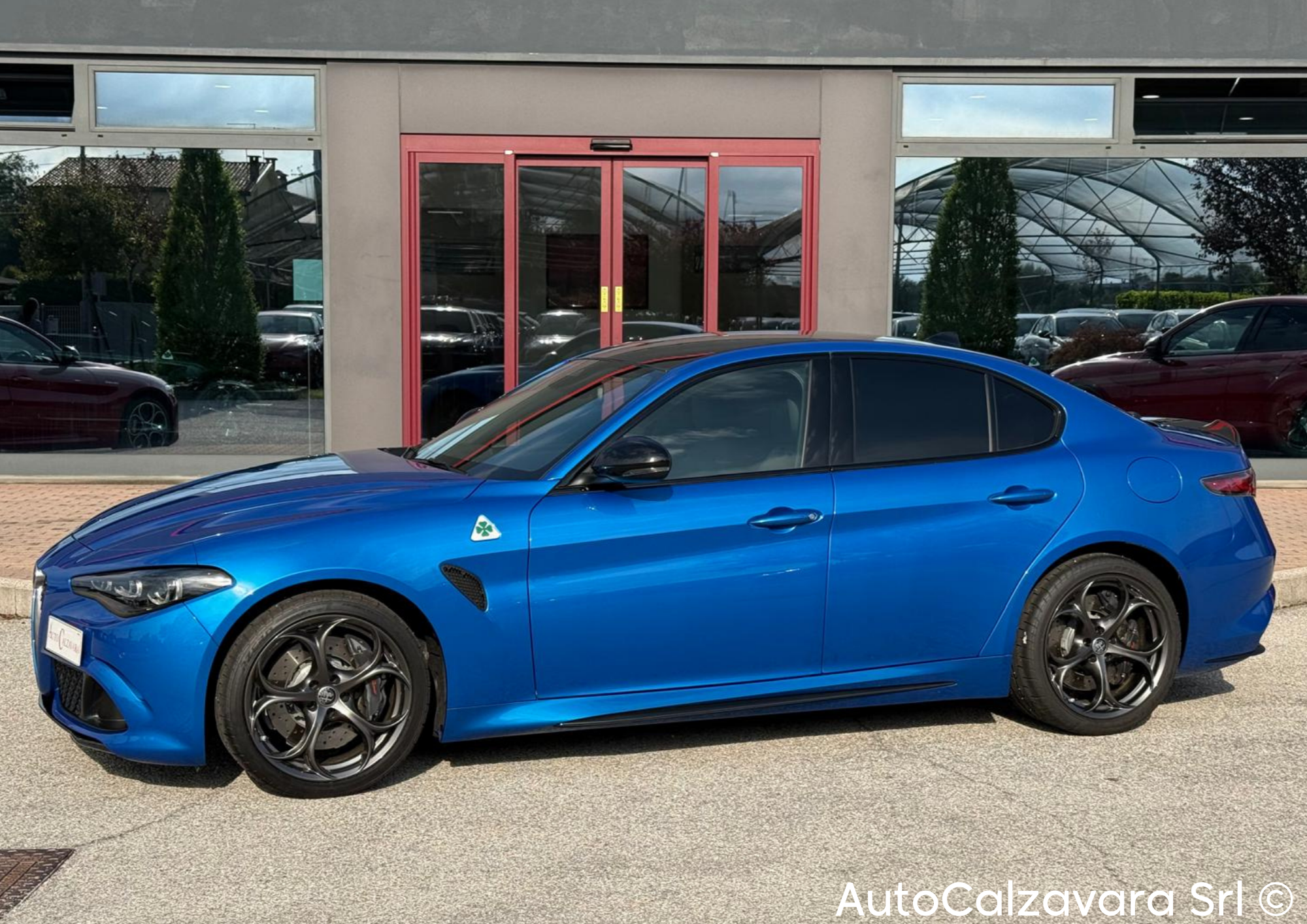 Alfa Romeo Giulia 2.9 V6 Bi-Turbo AT8 Quadrifoglio / BLU MISANO / R7689778