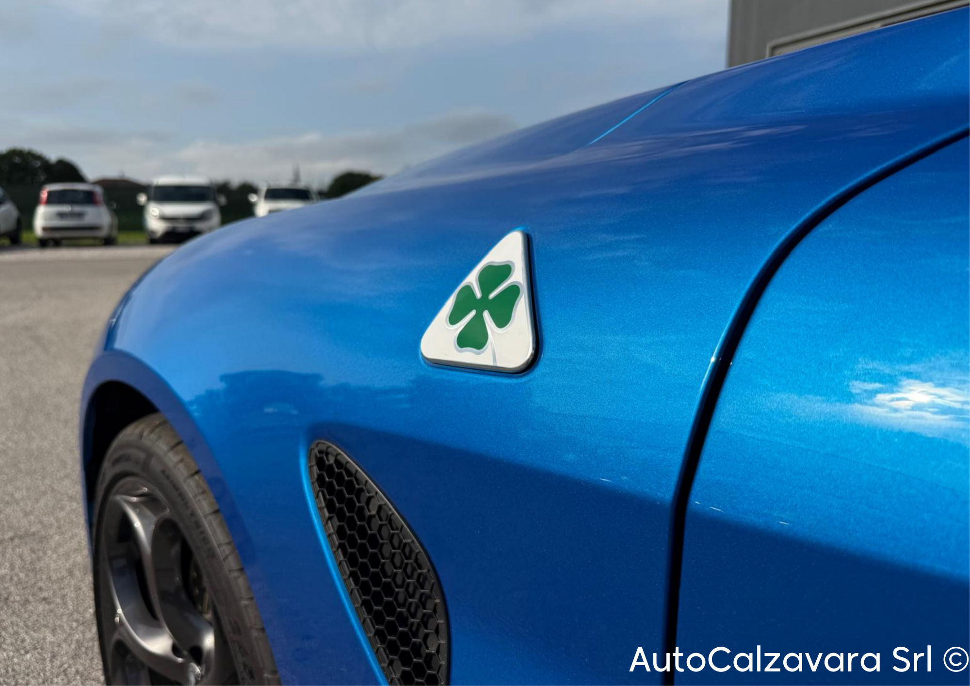 Alfa Romeo Giulia 2.9 V6 Bi-Turbo AT8 Quadrifoglio / BLU MISANO / R7689778