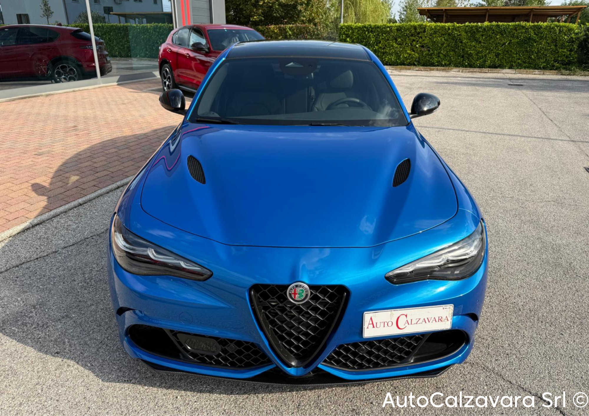 Alfa Romeo Giulia 2.9 V6 Bi-Turbo AT8 Quadrifoglio / BLU MISANO / R7689778