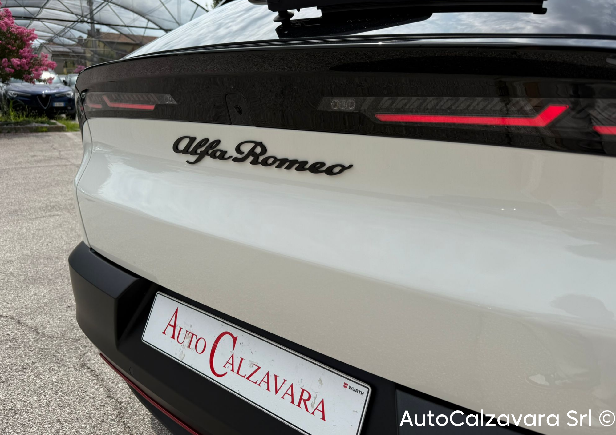 Alfa Romeo Junior 1.2 145 CV Hybrid eDCT6 Speciale / BIANCO SEMPIONE / RJA22454