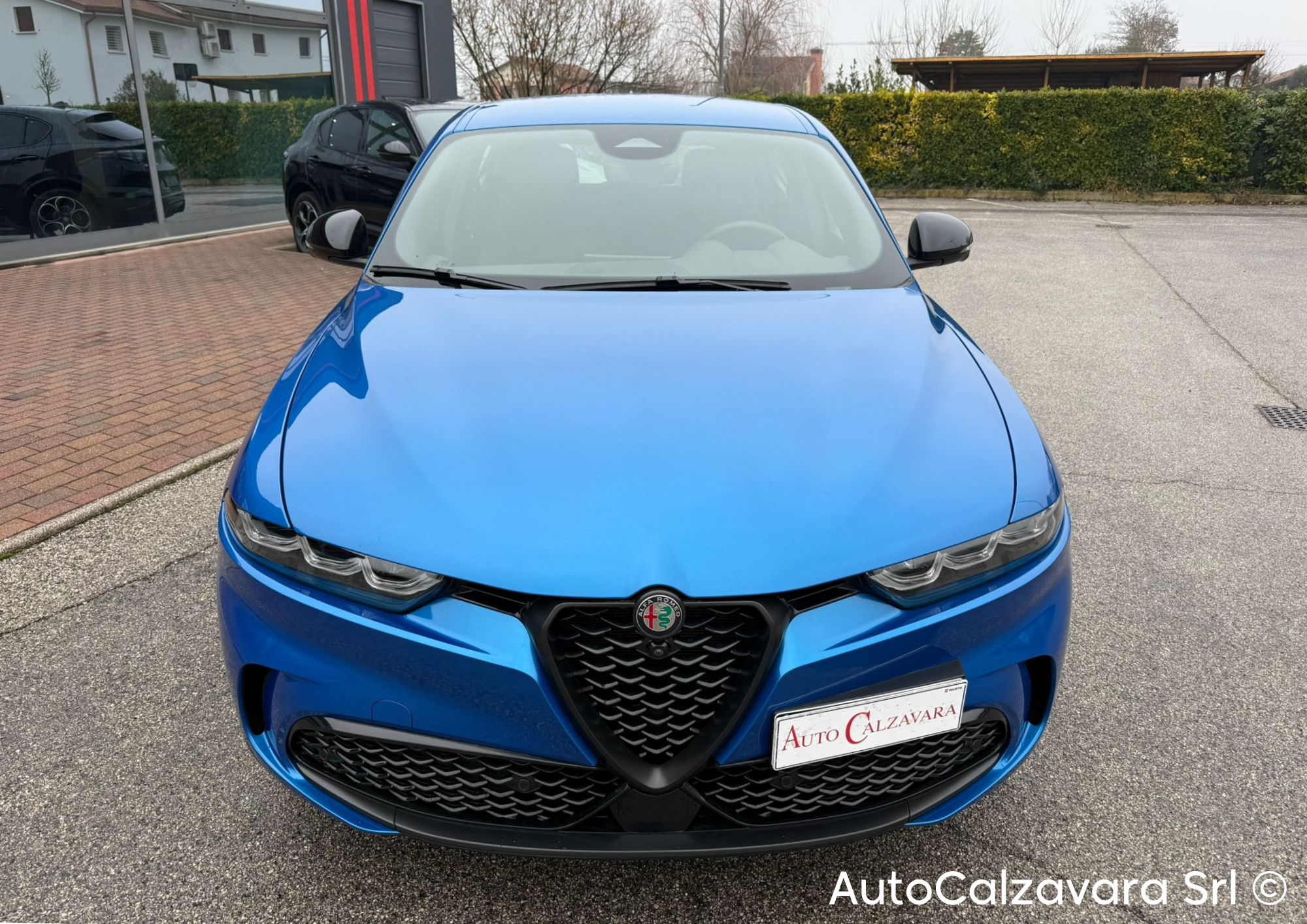 Alfa Romeo Tonale 1.6 diesel 130 CV TCT6 Sprint / BLU MISANO / GT591HK