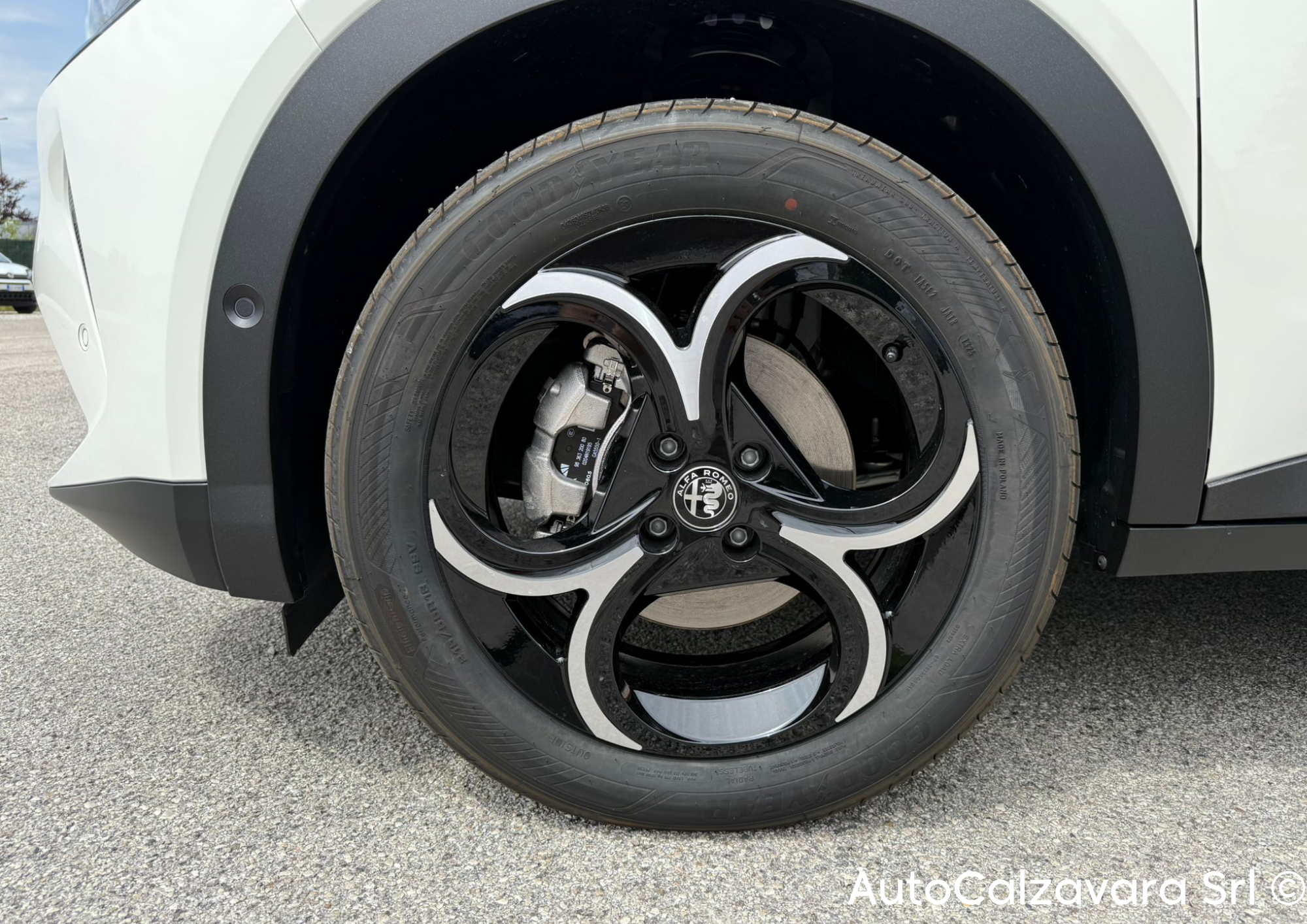 Alfa Romeo Junior 1.2 145 CV Hybrid eDCT6 Speciale / BIANCO SEMPIONE / RJA22454